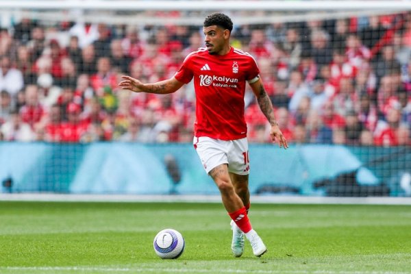 Bài đăng: Việc Gibbs White khô